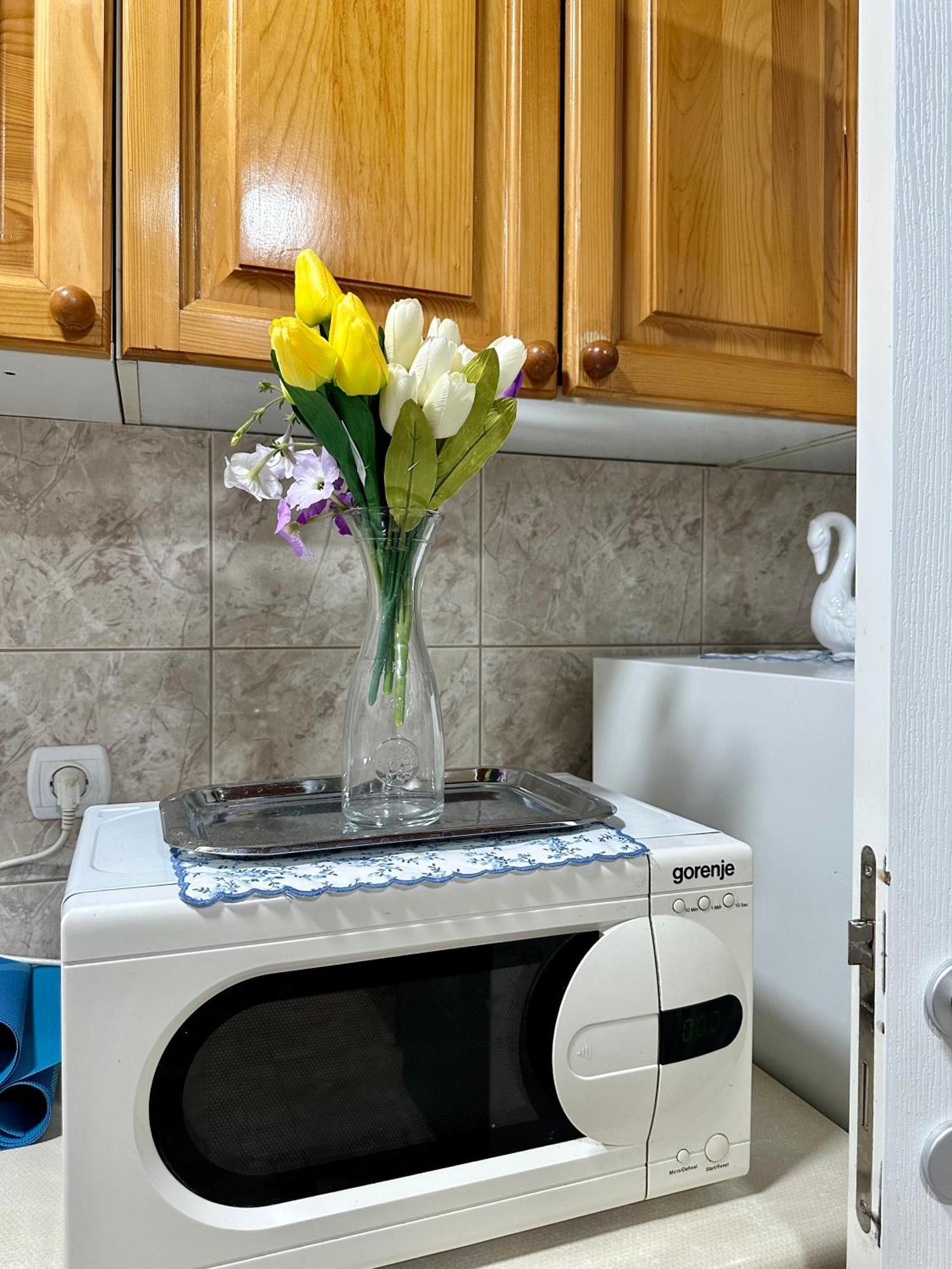 Apartment Maja Srbobran